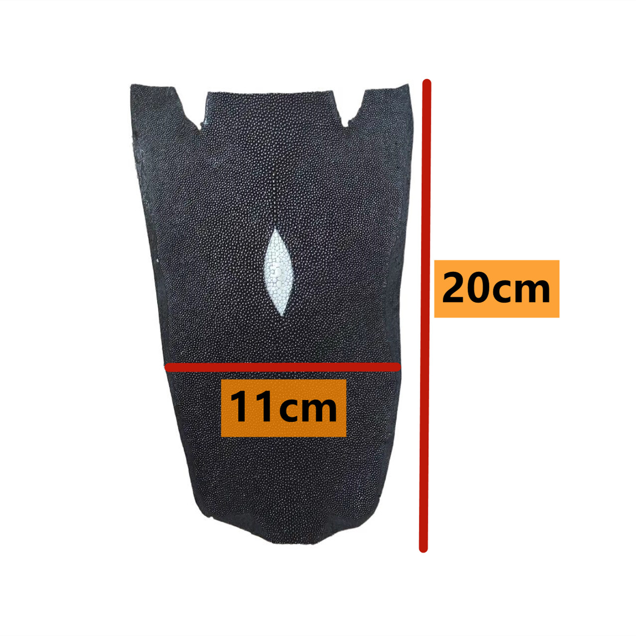 Piel de mantarraya negra sin p - Luxury Bags And Shoes reseña y precio